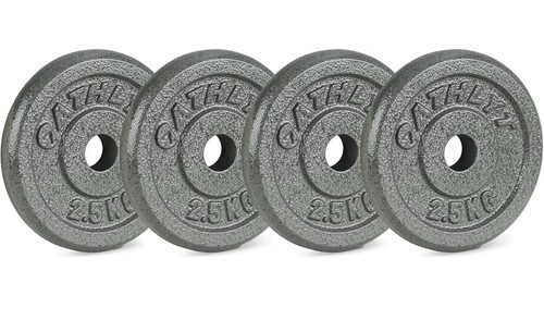 Cast iron weight - plates, 4x2.5