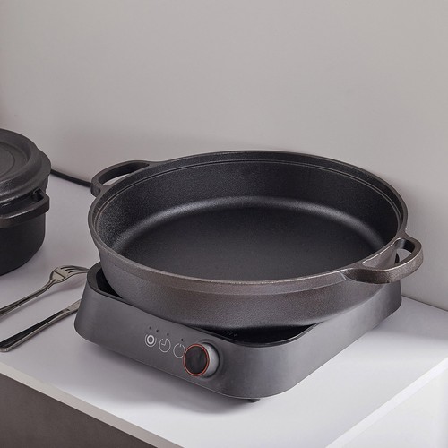 Cast iron cooking - cast,